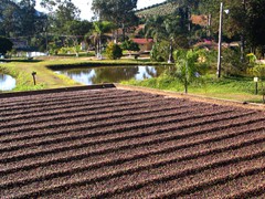 Nosso Cafezal